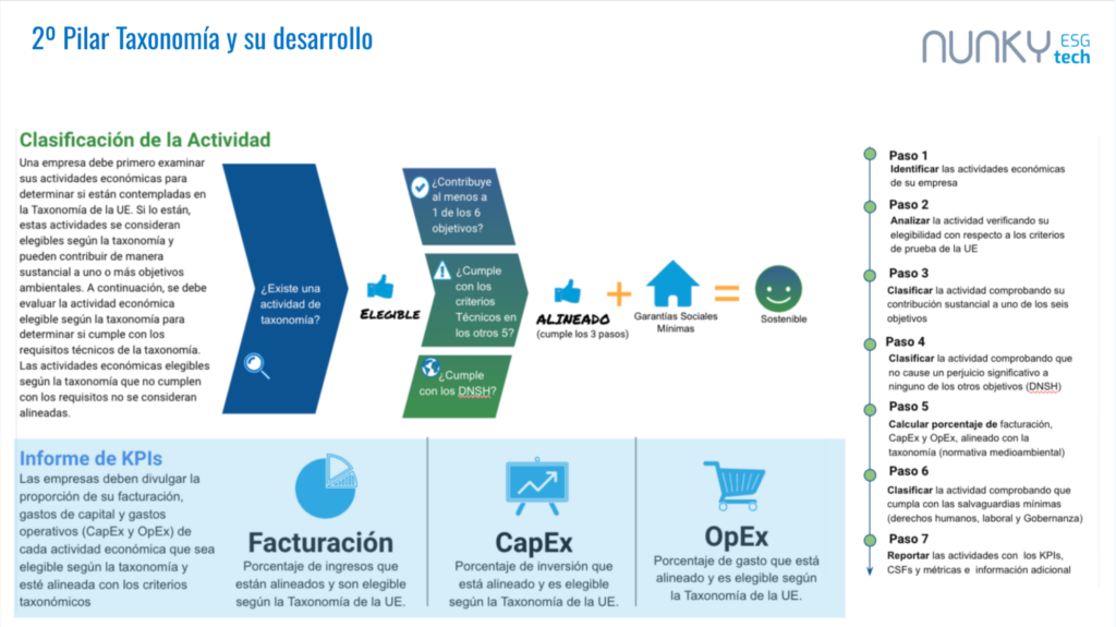 Desarrollo de Taxonomía en la empresa. Cómo clasificar las actividades taxonómicas